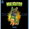 Belgian Malinois PNG, Maligator PNG