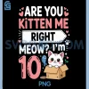Are You Kitten Me Right Meow PNG, I'm 10 Cat Lovers Birthday PNG