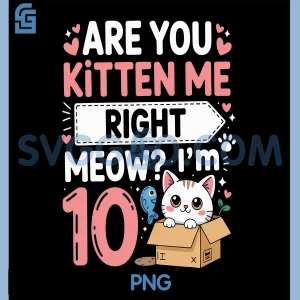 Are You Kitten Me Right Meow PNG, I'm 10 Cat Lovers Birthday PNG