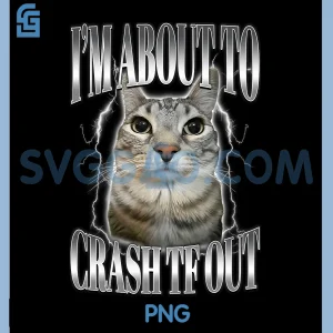 I'm About to Crash Out PNG, Funny Staring Cat Brainrot Meme PNG