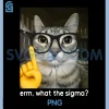 Silly ERM What The Sigma PNG, Meme Cat Ironic Brainrot Y2K PNG 1 Silly ERM What The Sigma PNG, Meme Cat Ironic Brainrot Y2K PNG