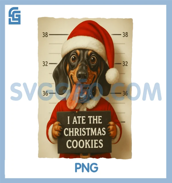 Funny Dachshund Christmas PNG, Dear Santa I Can Explain Weiner PNG – SVGGAO