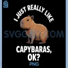 Funny Capybara Art PNG, Capy Rodent Capybara PNG