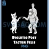 Funny Cat Evolution PNG, Hominid Primate Touching Finger PNG