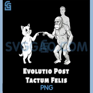Funny Cat Evolution PNG, Hominid Primate Touching Finger PNG