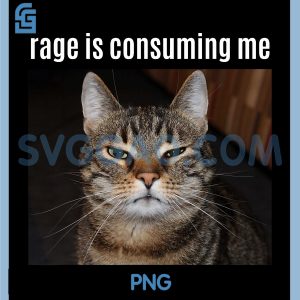 Funny Cat Meme PNG, Rage Consumes Me PNG, Humor Sarcastic Mood Design PNG