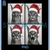Funny Christmas Caracal PNG, Cat Santa Photo Booth PNG