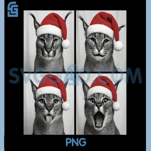 Funny Christmas Caracal PNG, Cat Santa Photo Booth PNG