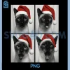 Funny Christmas Siamese PNG, Cat Santa Photo Booth PNG