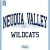 Neuqua Valley HS PNG, Naperville IL Retro PNG