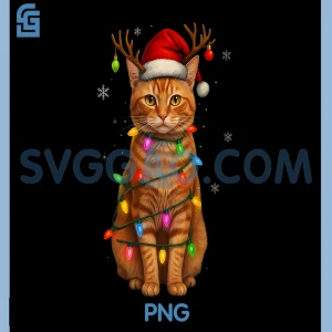 Orange Tabby Cat Christmas Lights PNG, Funny Santa Holiday Cats PNG