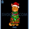Orange Tabby Cat Christmas Lights PNG, Funny Santa Holiday Cats PNG