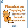 Planning On Engaging in Orange Cat PNG, Behavior So Dont Ask PNG