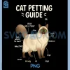 Ragdoll Cat Petting Guide PNG, Funny Cat Lover PNG 2 Ragdoll Cat Petting Guide PNG, Funny Cat Lover PNG