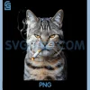 Smoking Cat PNG, Cigarette Kitty Meme PNG, Generation Z Animal Pet PNG
