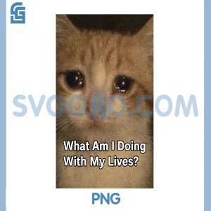 What Am I Doing with My Lives PNG, Cat PNG