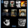 Funny Cat Meme PNG Bundle, Silly Graphic Bundle PNG