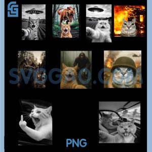 Funny Cat Meme PNG Bundle, Silly Graphic Bundle PNG
