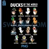 Duck Types PNG, Cute Goose Animal Educational PNG, Ducks of The World PNG 1 Duck Types PNG, Cute Goose Animal Educational PNG, Ducks of The World PNG