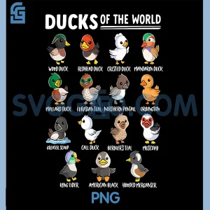 Duck Types PNG, Cute Goose Animal Educational PNG, Ducks of The World PNG
