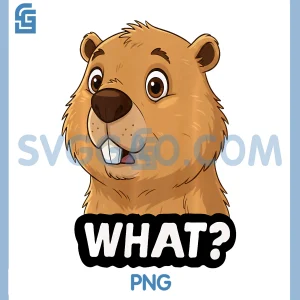 Funny Beaver PNG, What Zoo PNG