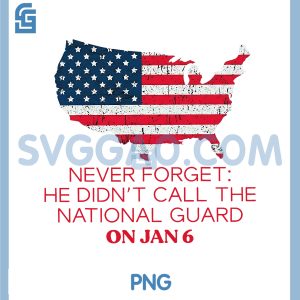 Never Forget He Didnt Call The National PNG, Guard On Jan 6 PNG