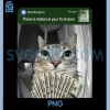 There is Motion at Your Front Door PNG, Funny Cat Motion Meme PNG
