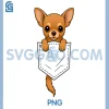 Chihuahua Peeking in Pocket PNG, Animal Dog PNG
