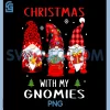 Gnomes Christmas PNG, Family Leopard Funny Plaid PNG
