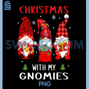 Gnomes Christmas PNG, Family Leopard Funny Plaid PNG
