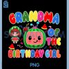 Grandma of The Birthday Girl PNG, Melon Family Matching Funny PNG