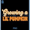 Growing a Lil Pumpkin PNG, Cute Retro Fall PNG, Pregnancy Graphic PNG 2 Growing a Lil Pumpkin PNG, Cute Retro Fall PNG, Pregnancy Graphic PNG