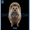 Hedgehog Exotic Pet PNG, Mammal Enthusiast Graphic Design PNG