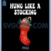 Hung Like A Stocking PNG, Funny Christmas PNG