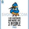 I Like Kingfishers And Maybe Like 3 People PNG, Funny PNG