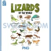 Lizards of the World PNG, Reptile Educational PNG, Herpetology Animal PNG
