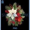 Poinsettia PNG, Christmas Flower PNG