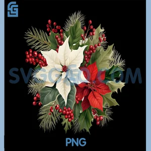 Poinsettia PNG, Christmas Flower PNG