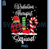 Radiation Therapist Elf Squad PNG, Christmas Matching PNG