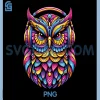 Rave Rainbow Owl PNG, House EDM Festival Raver PNG, Animal EDC Rave PNG