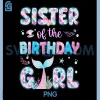 Sister Of The Birthday Girl PNG, Family Matching Party PNG