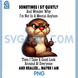 Sometimes I Sit Quietly And Wonder PNG, Why I'm Not in A Mental PNG