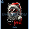 Sorry Santa Ive Been Feral PNG, Stray Christmas Cat PNG