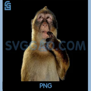 Thinking Monkey Meme PNG, Funny Monkey PNG
