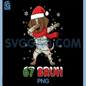 67 Bruh PNG, Meme German Shorthaired Pointer PNG, Dog Christmas PNG