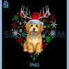 Christmas Reindeer Santa Hat PNG, Havanese Ugly Xmas PNG