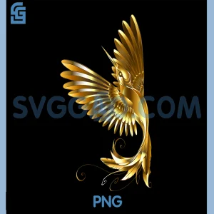 Cool Shine PNG, Hummingbird PNG