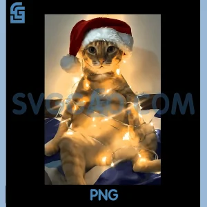 Cat Christmas Meme PNG, Cute Holiday Meme Cat Xmas PNG