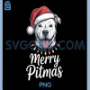 Merry Pitmas Pitbull Dog PNG, Christmas Lights Santa Hat PNG