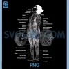Anime Muscle Anatomy Chart PNG, Gym and Workout Motivation PNG 1 Anime Muscle Anatomy Chart PNG, Gym and Workout Motivation PNG